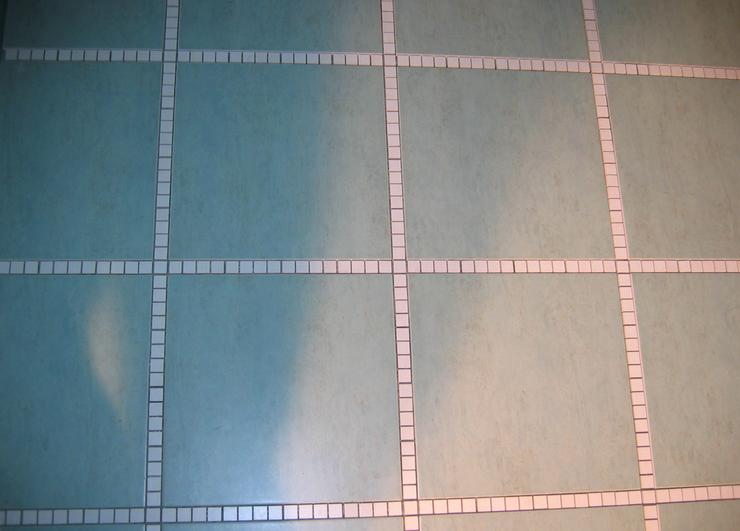 Mosaic boarder tiling Sydney